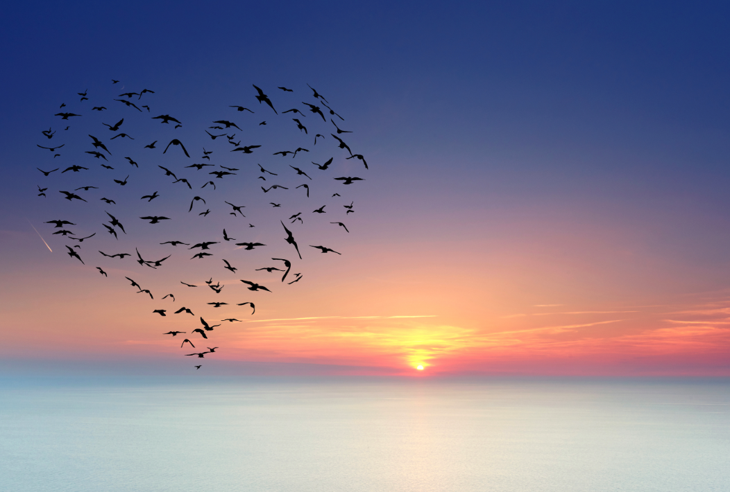 ماهاداشا: الگوهای کیهانی در چارت تولد