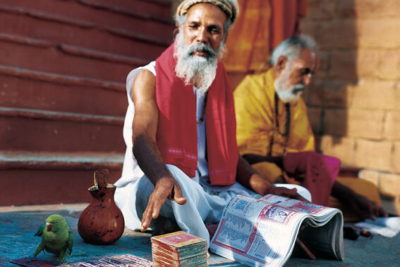 Доверие судьбе и астрологии в жизни индийского иммигранта